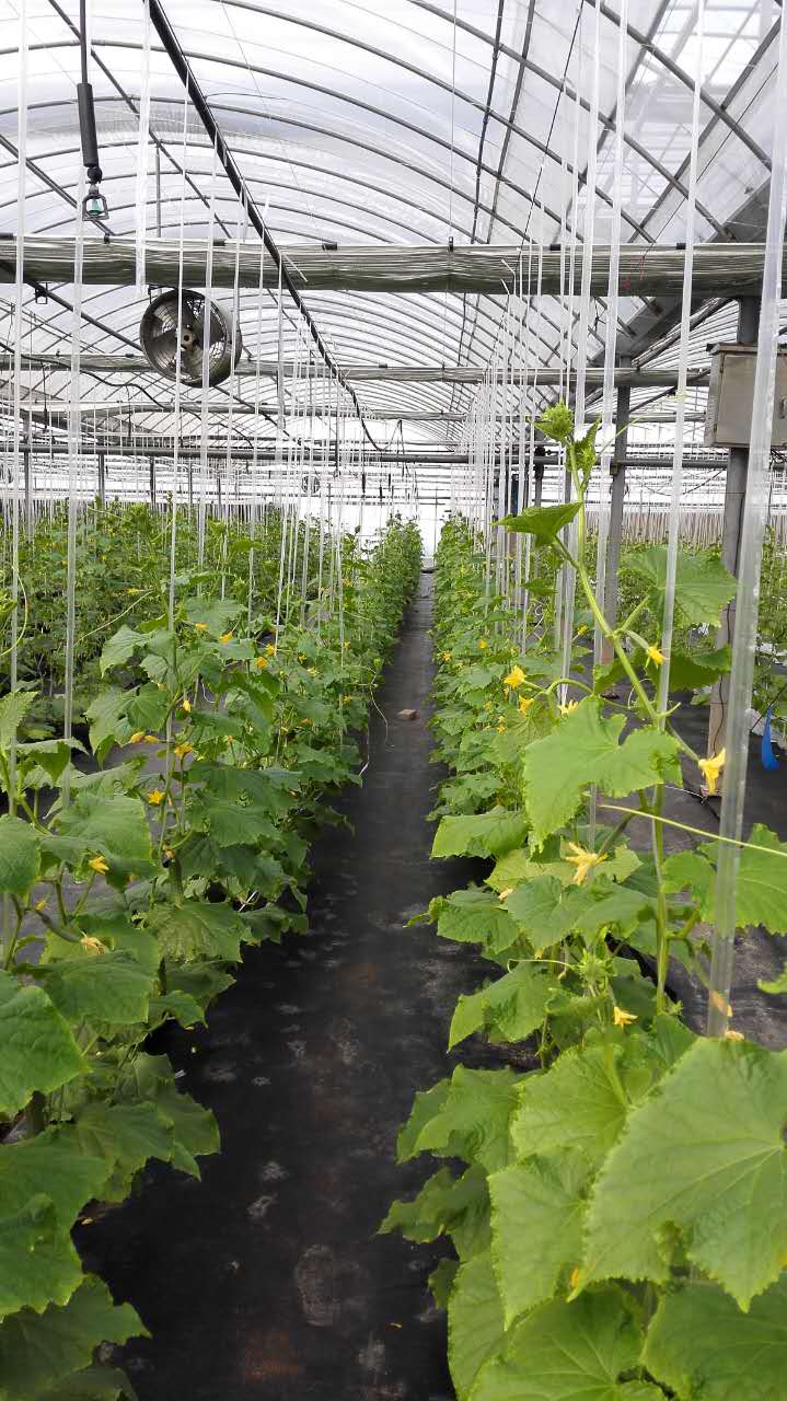 webwxgetmsgimg (4).jpg