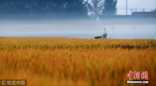 ���������һҳ