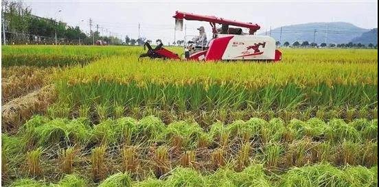 微信图片_20211231150624.jpg 图片